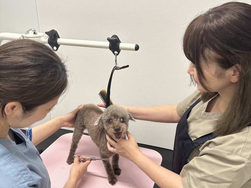 写真